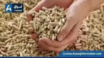 تغيرات جديدة في أسعار الأعلاف للطن الواحد لدى التجار خلال تعاملات الخميس